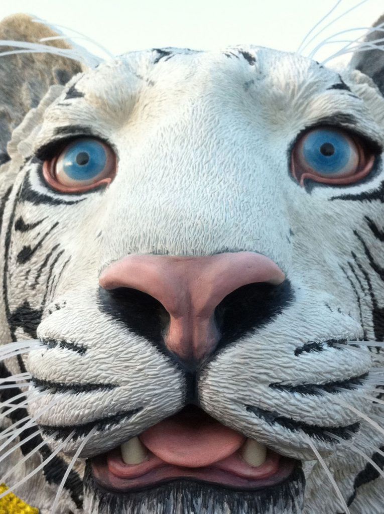 detalle de tigre fibra de vidrio 8